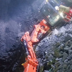 Ֆիքսված տիպի պատվանդանի բում համակարգ